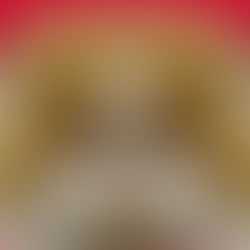 L'Autriche légifère contre l'hypertype