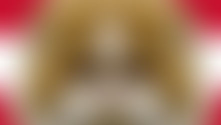 L'Autriche légifère contre l'hypertype