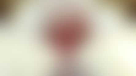 Les sténoses de narines chez le persan