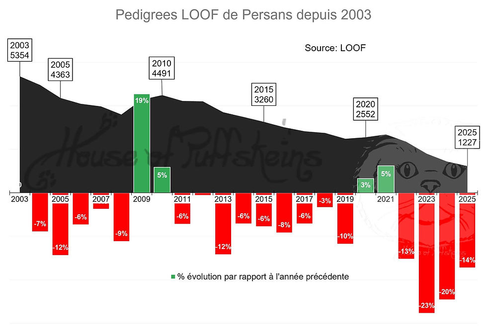 Le persan continue de disparaître en France