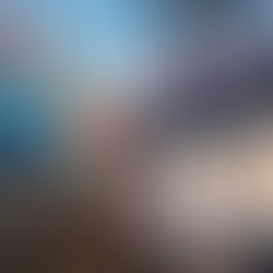 SEGURO DE CONTENEDOR