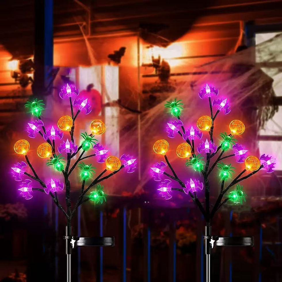 Thumbnail: Solar Powered LED Halloween Garden Lights
