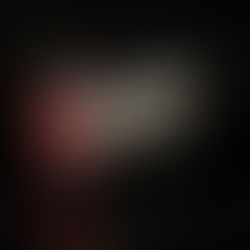 REDS New 17.5T  High Torque Motors