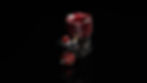 Reds Racing New 521 GTS Gen2 website.jpg