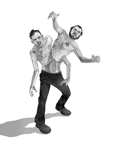 Construct Nb bis.jpg