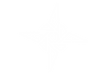 SFSWhiteIcon.png
