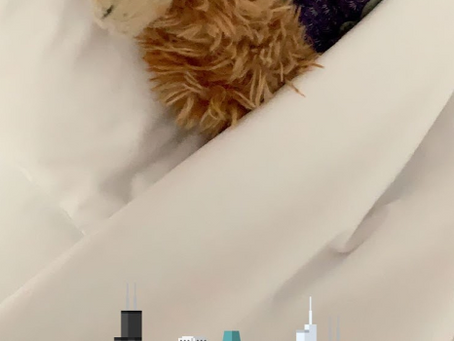 Sunday, March 1st: Travel to Chicago