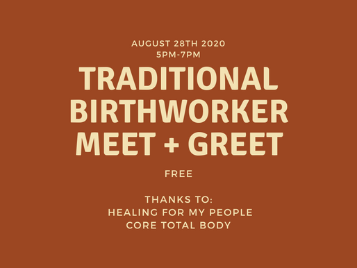 Traditional Birthworker Study Group