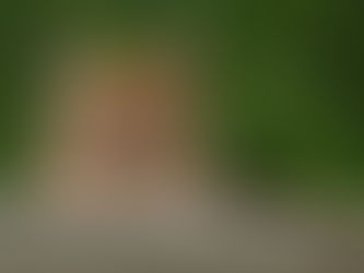 What Does the Cat Have to Do With It?