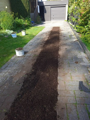 Trädgård, uppfart, ogräs, efter