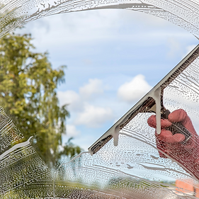 cleaninghouse senior (3).png