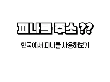 피나클 주소? 도메인 바로가기