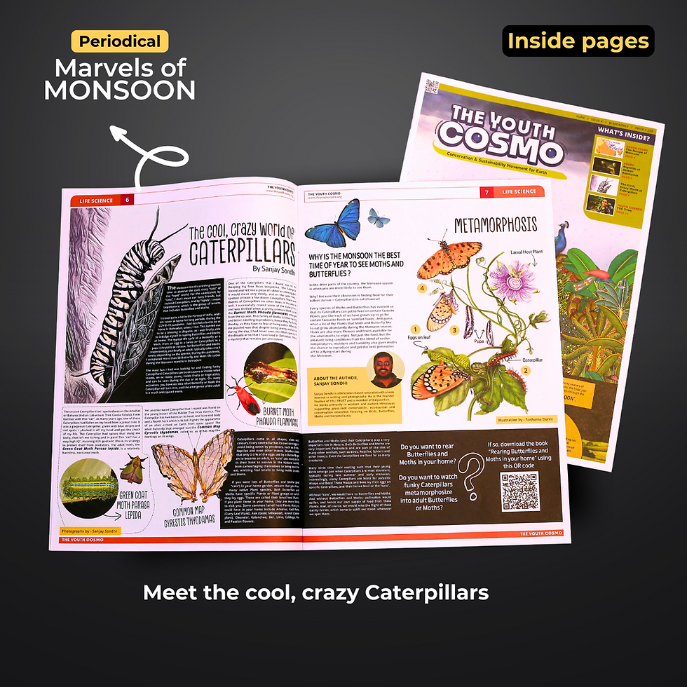 Thumbnail: Wonders of Seasons - Print Version I Pack of 2