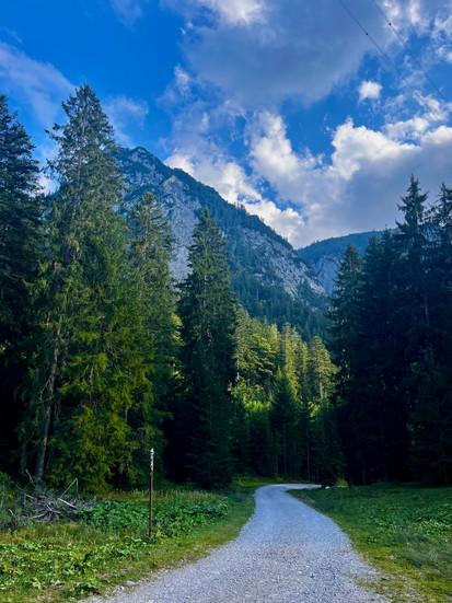 Mountain trail through the forest on Kreuzeck with evening sunlight and mountain peaks ahead