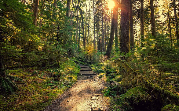 path image.jpg