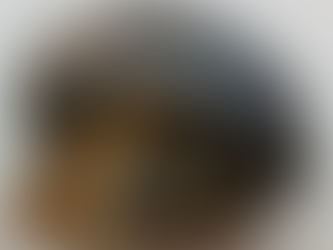 Железная Улитка : Chrysomallon squamiferum