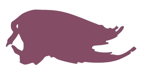 illustration couleur tendance automne hiver 2025-2026 violet damson(prune)