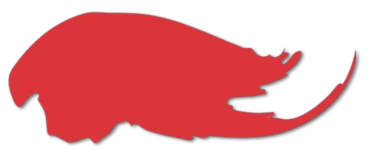 illustration de la couleur Poppy red, tendance dela mode pour la saison automne hiver 2025-2026