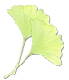 euille de ginkgo stylisée, motif végétal décoratif évoquant la nature et la délicatesse.