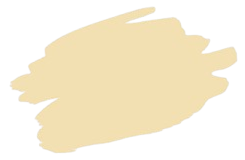 illustration teint intermédiaire