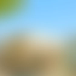 9月、10月の休診について