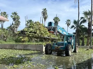 Entregan herramientas y unidades móviles para proteger el Estero de San José del Cabo