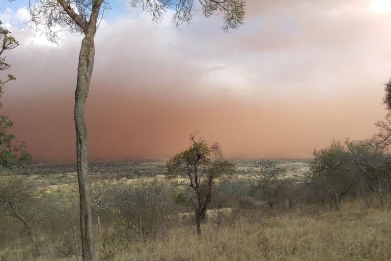 CERCA detecta alta contaminación del aire en El Tezal, Cabo San Lucas