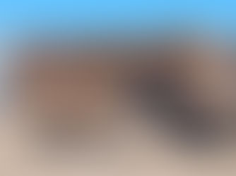 Escuelas CONAFE en paro nacional por malas condiciones laborales, menores en Cabo San Lucas sin clases