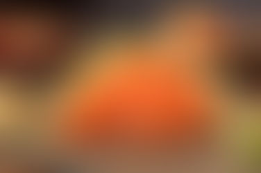 San José del Cabo buscará romper Récord Guinness con el sashimi más largo del mundo