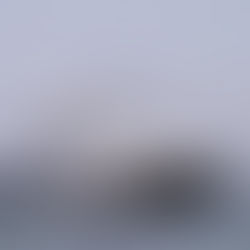 Trabaja FONMAR BCS en regulación de pesca en el estado; buscan evitar depredación