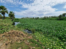 Gobierno de Baja California Sur buscará llevar recursos del FOIS a la recuperación del Estero Josefino 