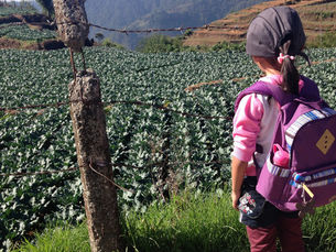 26 escuelas dan servicio a hijas e hijos de familias jornaleras en la entidad
