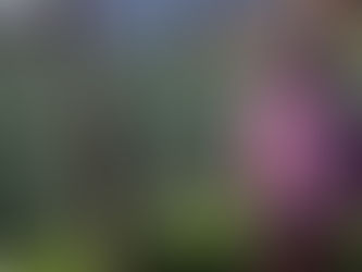 26 escuelas dan servicio a hijas e hijos de familias jornaleras en la entidad