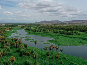 Actualizan plan de manejo del estero de San José del Cabo para protegerlo del deterioro
