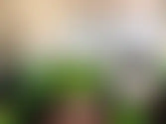 Escuelas multigrado amplían horarios para mejorar el desempeño académico