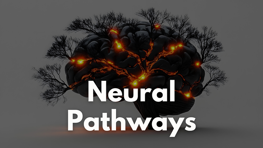 Small Neural Pathways Changing Neural Pathways