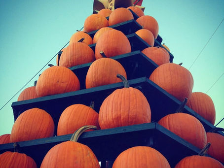The Barnesville Pumpkin Festival - How it all started
