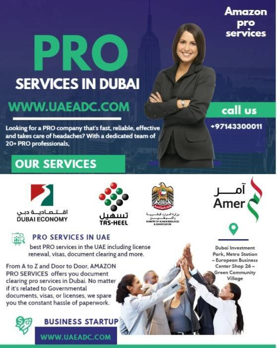 pro services in Bur Dubai and al Karama.