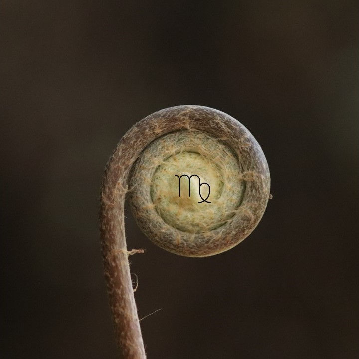ree