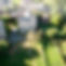 DJI_0229_2.jpg