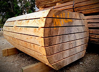20201018_142153_edited_edited.jpg