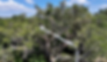 Screenshot 2025-08-23 at 10.27.33 PM.png