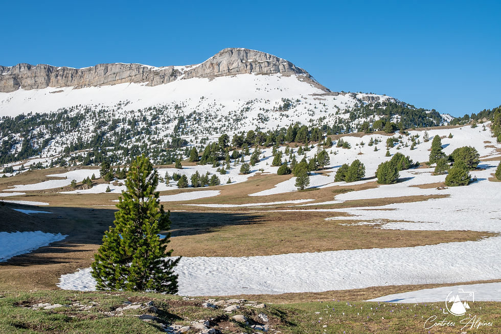 La Vallon de Combeau depuis le Pas de l'Essaure.