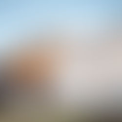 Au pays des bouquetins !