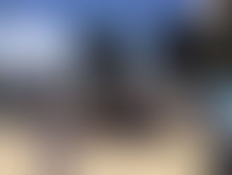 נשים עושות שלום בוועדת ביקורת המדינה