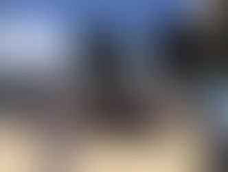 נשים עושות שלום בוועדת ביקורת המדינה