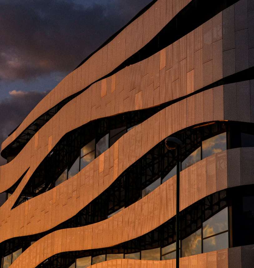 vladislav-bogutski-pHebIIP_rWc-unsplash.png