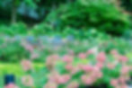 Call us for a free estimate. Central Jersey landscaper.