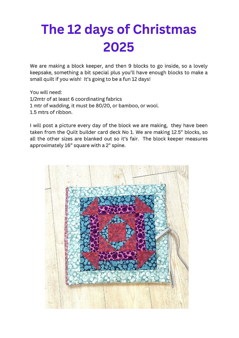 12 Days of Christmas - brief.jpg