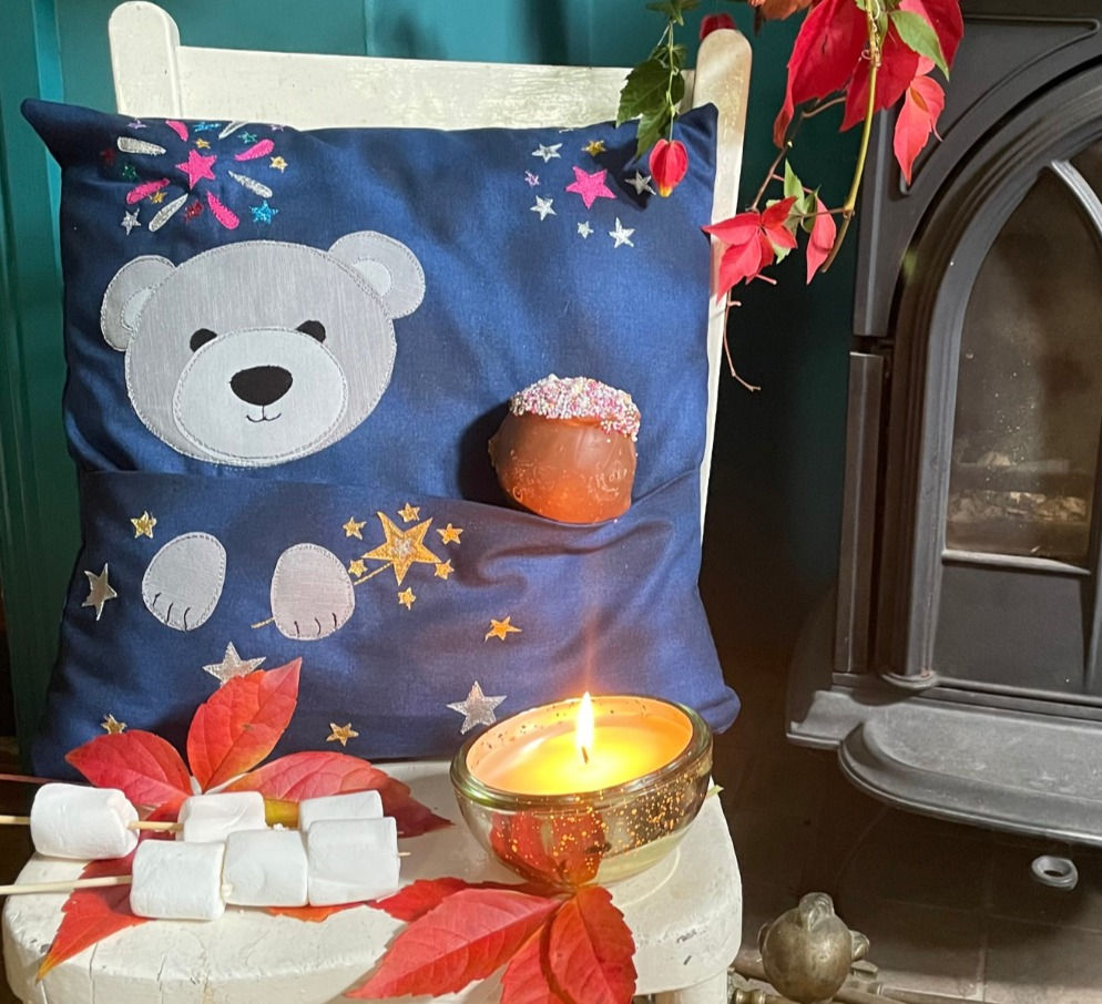 Fireworks Bear Book Cushion